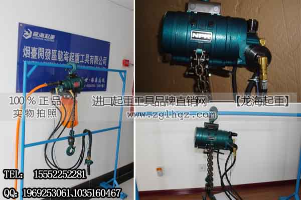 NPK气动葫芦250kg 以空气为动力环