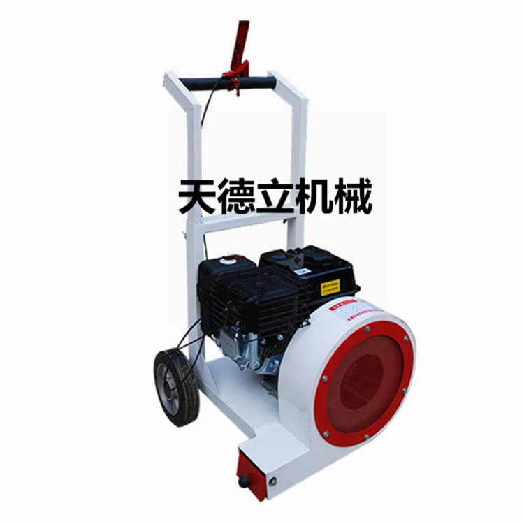 160庭院积雪落叶清扫机 吹湿除干吹风机