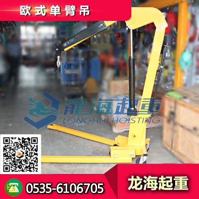 供应欧式单臂吊P3工位载重700kg 节