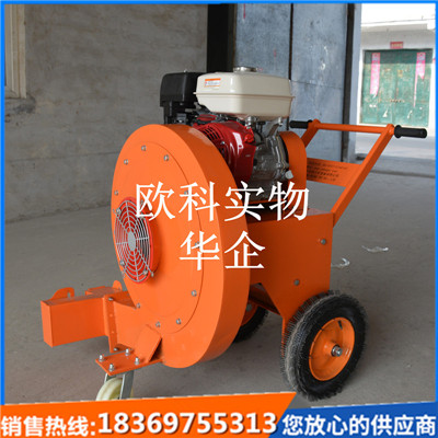 供应路面除尘机公路清缝吹扫机手推式吹风机