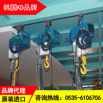迷你环链电动葫芦MNP-250报价 采用