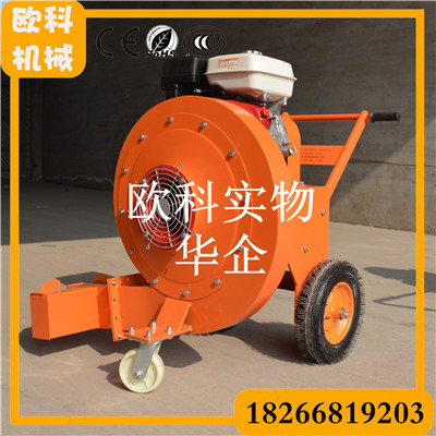 二冲程风力灭火机 背负式吹雪机