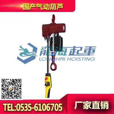 2000kg诺力顿NOLD气动葫芦 气动