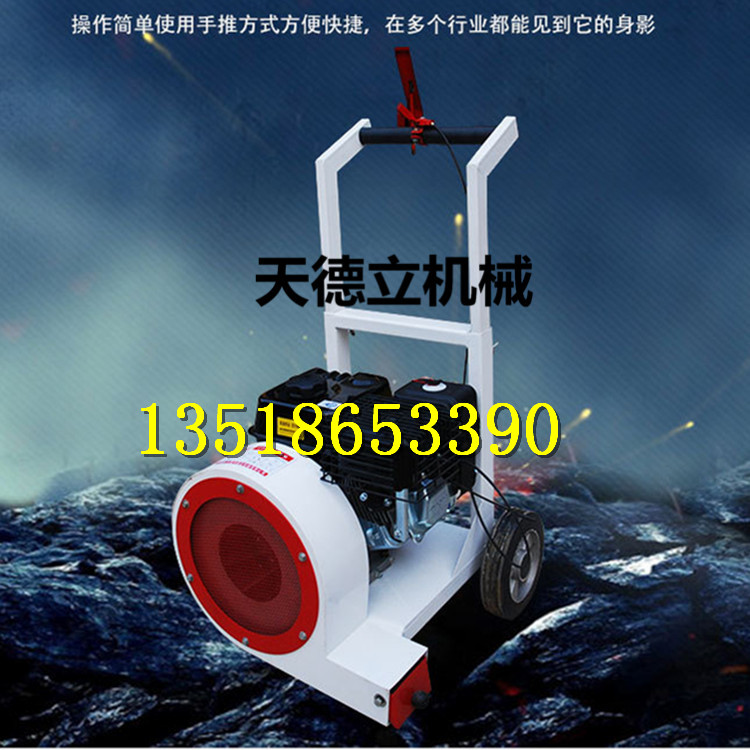 供应手推式路面吹风机 路面清理吹灰机